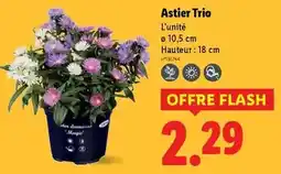 Carrefour Machine de boeture musical offre