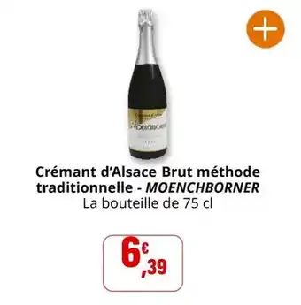 ALDI Gardenline - cactee ou succulente offre