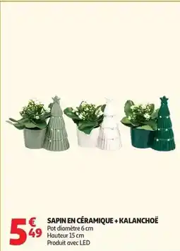 Outiror Lot de 10 ancres pour bordure de jardin offre