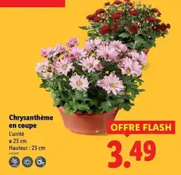 Brico Dépôt Visseuse a choc 18 v offre