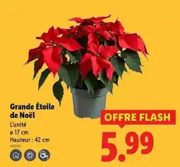 Brico Dépôt Perceuse visseuse 18 v offre