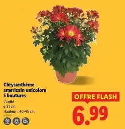 Brico Dépôt Ponceuse triangulaire 18v nue titan offre