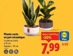 Brico Dépôt Ponceuse excentrique 18 v offre