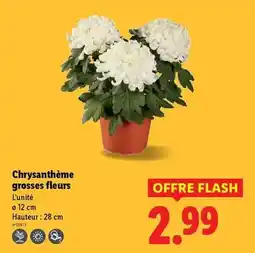 Brico Dépôt Coffret a douilles 1/4 et 3/846 pieces offre