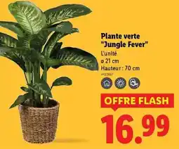 Brico Dépôt Coffret a douilles 1/4 3/8 67 pieces offre