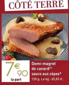 Outiror Filtre pour gouttière en lot de 2 offre