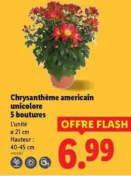 Auchan Supermarché Auchan - fromage pour tartiflette offre