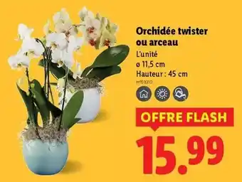 Auchan Kinder - bueno offre