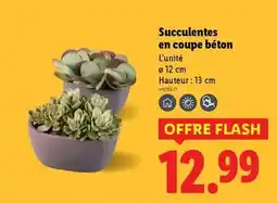 Auchan Le ster - madeleines au lait frais offre