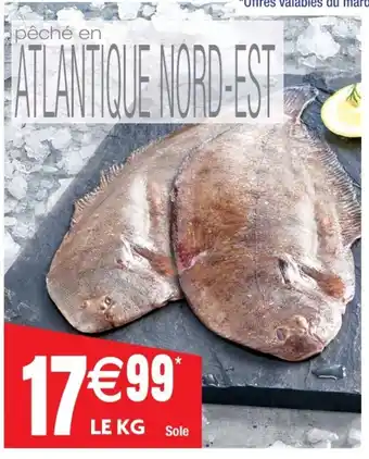 Cora x Carrefour Sole offre