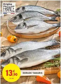 Conforama Jbl - tour de son offre