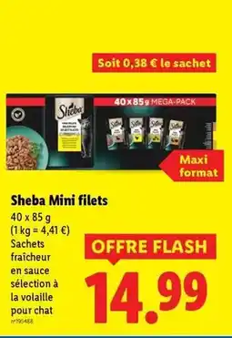 ALDI Home creation - emballages cadeaux offre
