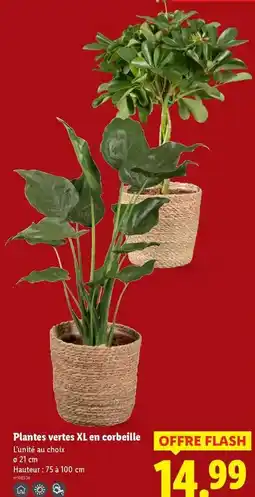 Intermarché Moulinex - rape jus fresh express 3 en 1 offre