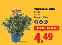 METRO Le gaulois - filets de poulet rôti offre