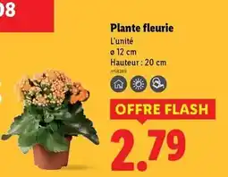 METRO Schweppes - lemon offre
