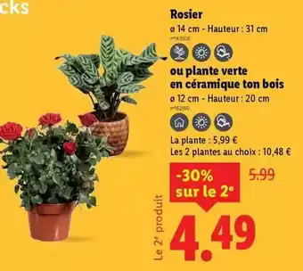 METRO Fuzetea - pêche offre