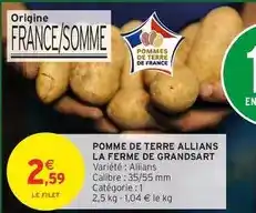 Norma Cat - oignons jaunes offre