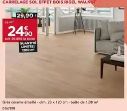 Coccinelle Express Saint albray - fromage à pâte molle au lait de vache offre