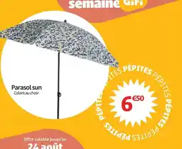 La Foir'Fouille Ballon led offre
