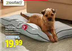 Promocash Plateau pour fruits de mer en inox offre