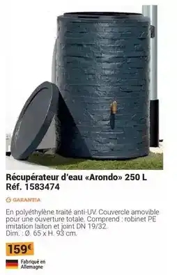 U Express U - bouquet de 9 tulipes de glace offre