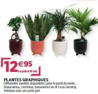 Delbard Plantes Graphiques offre