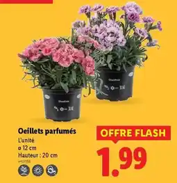 Espace Aubade Miroir avec contour led offre