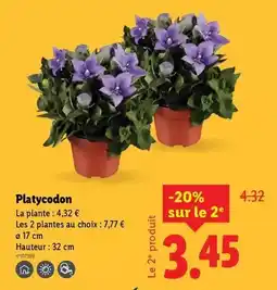 Espace Aubade Miroir line offre