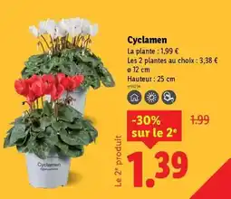 Intersport Nakamura - vitt summit 705 offre