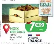 Maxi Zoo Anione - arbre à chat tiffany offre