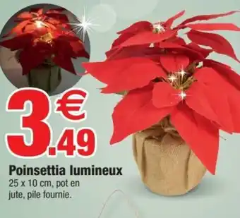 Poinsettia lumineux