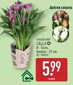 Netto Mijotes en sauce pour chat adulte offre