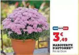 ALDI Jean giner - igp pays d'oc cabernet sauvignon offre