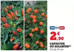 ALDI Lentilles vertes offre