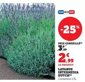 ALDI Fini - mozzarella offre