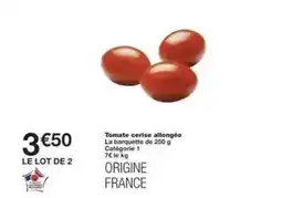 ALDI Plante verte offre