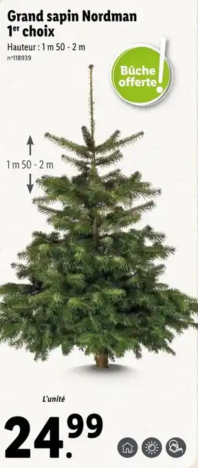 Lidl Grand sapin nordman 1 choix offre