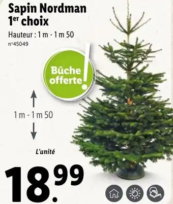 Lidl Sapin nordman 1 choix offre