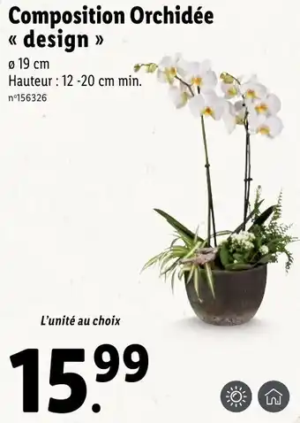 Lidl Composition orchidée offre