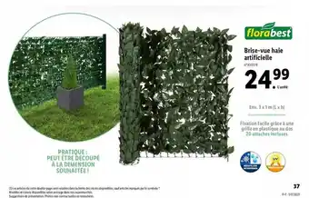 Brise-vue Haie Artificielle Florabest