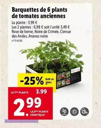 Lidl Barquettes De 6 Plants De Tomates Anciennes offre