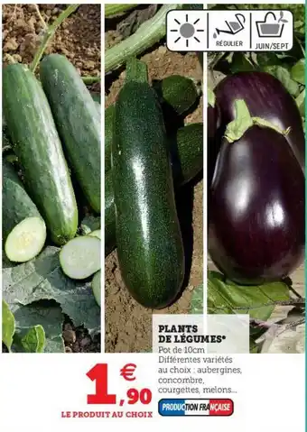 U Express Plants De Légumes offre