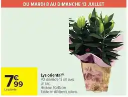 Hyper U Mutti - sauce tomate offre