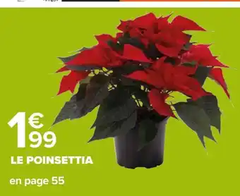 Carrefour Le Poinsettia offre