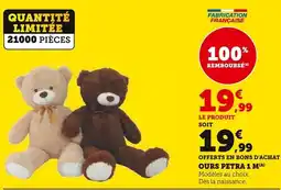 Super U Ours Petra 1 M offre