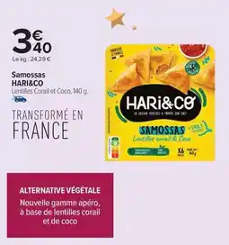 Hari & co - samossas