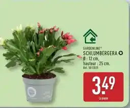 Promocash Boule macreuse prête à découper offre