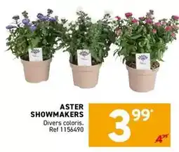 Super U Maison larzul - escargots de bourgogne offre