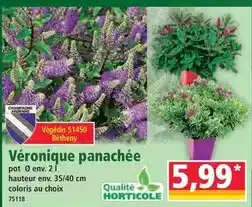 Conforama Tube led digitale rvb music h.130 cm offre