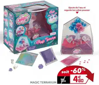 Magic terrarium